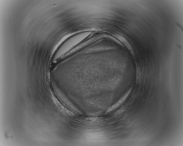 X0000100421000200806271503