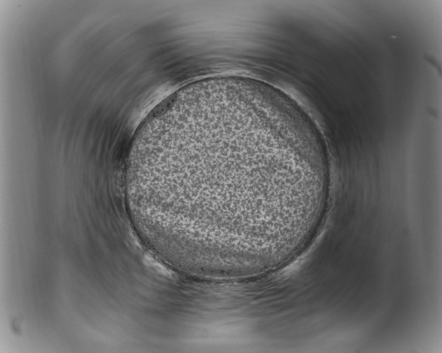X0000100421001200806271503