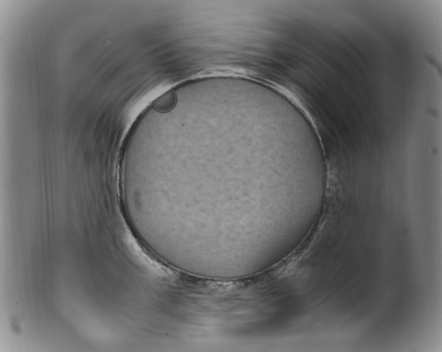 X0000100421003200806271503