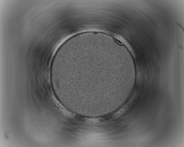 X0000100421004200806271503
