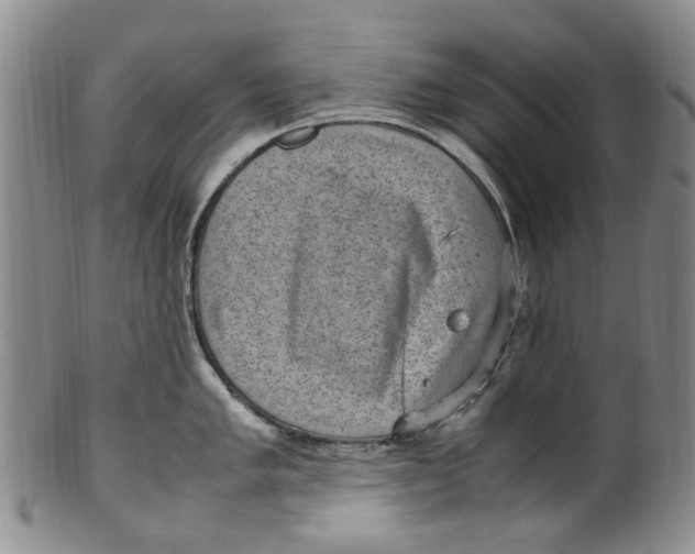 X0000100421005200806271502