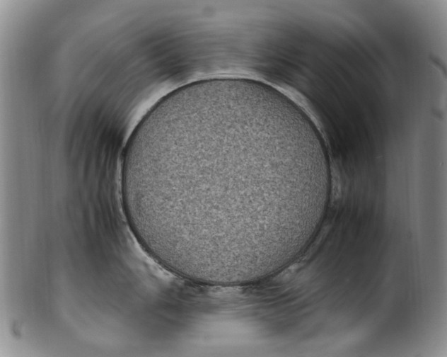 X0000100421006200806271502