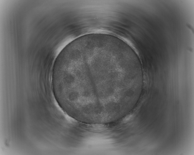 X0000100421007200806271502