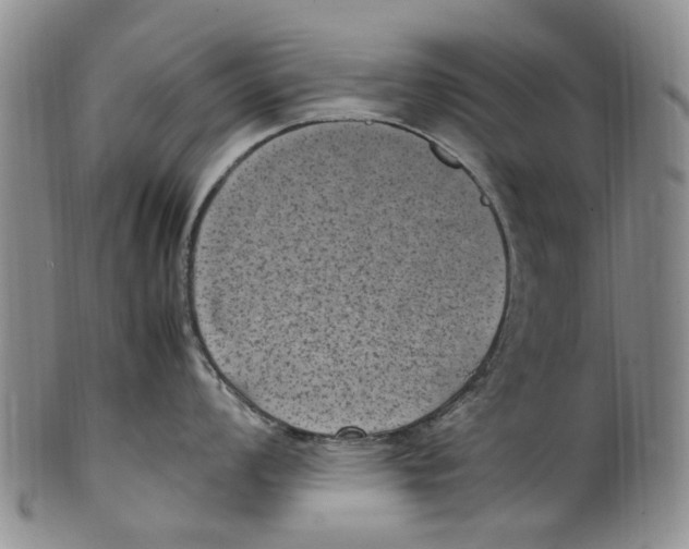 X0000100421008200806271502