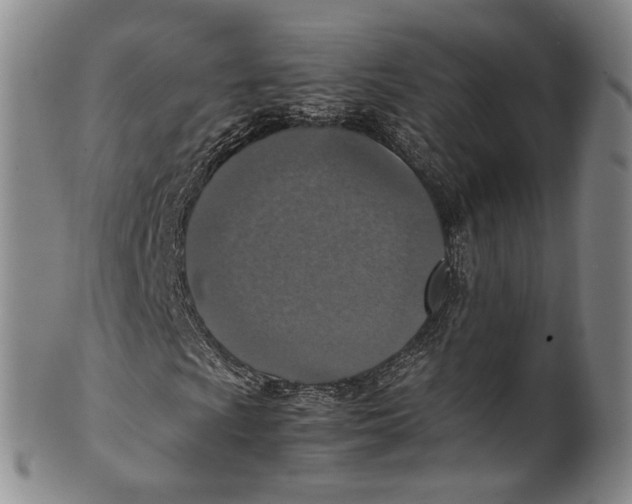 X0000100421009200806271502