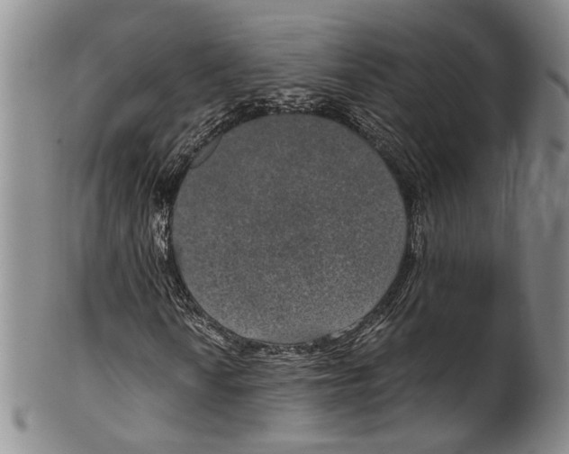 X0000100421010200806271502