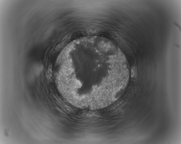 X0000100421011200806271502
