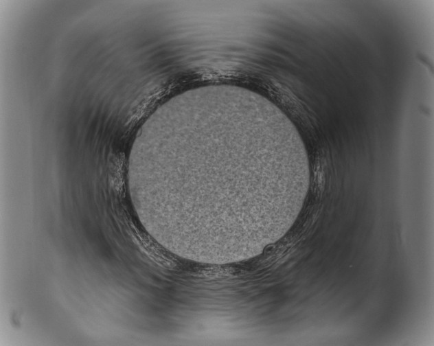 X0000100421012200806271502