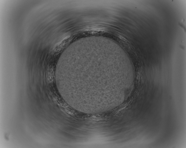 X0000100421014200806271502