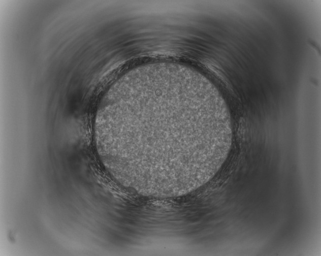 X0000100421015200806271502