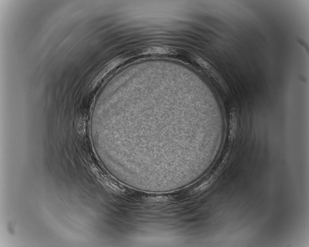 X0000100421017200806271502