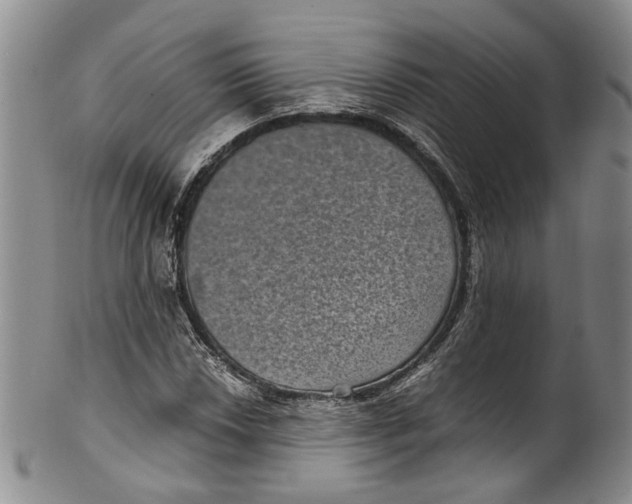 X0000100421018200806271502