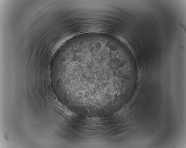 X0000100421019200806271502