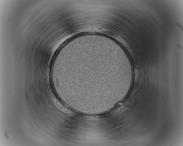 X0000100421020200806271502