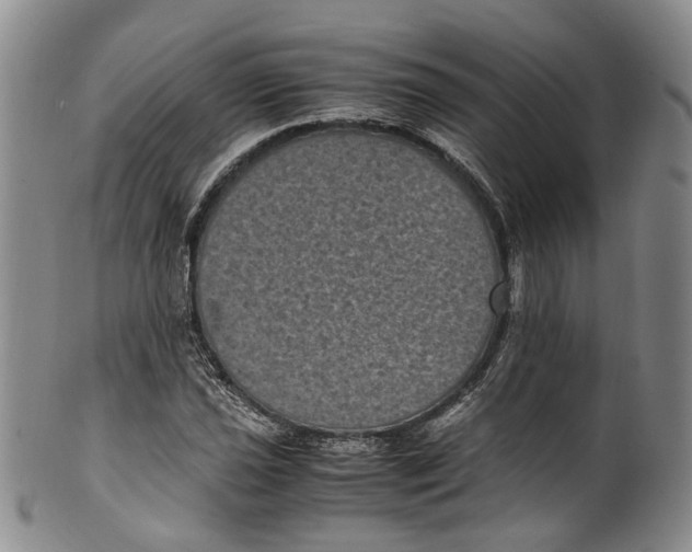 X0000100421021200806271502