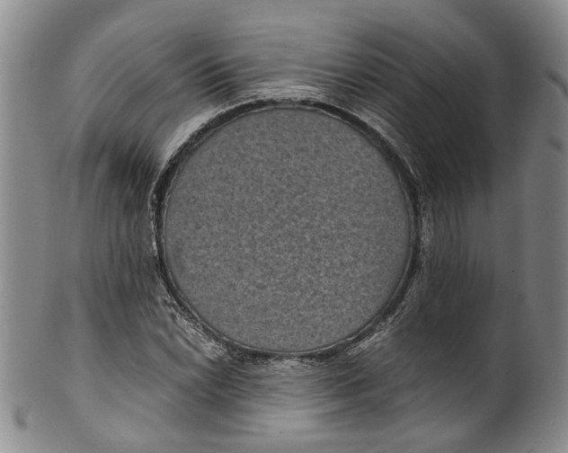 X0000100421022200806271502