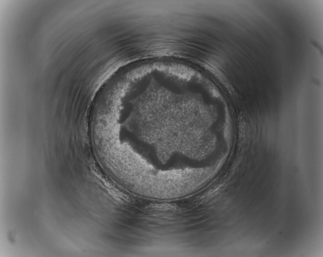 X0000100421023200806271502