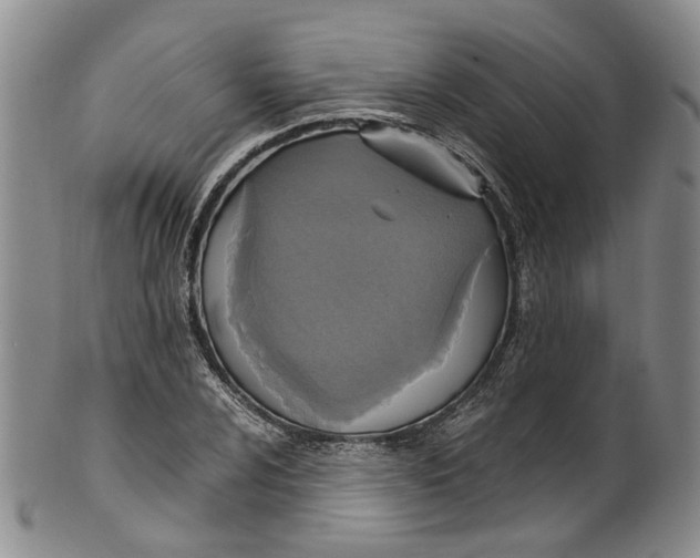 X0000100421024200806271502