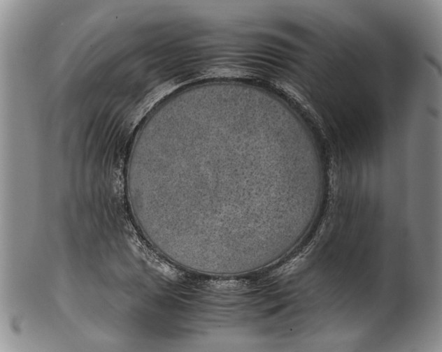 X0000100421025200806271502