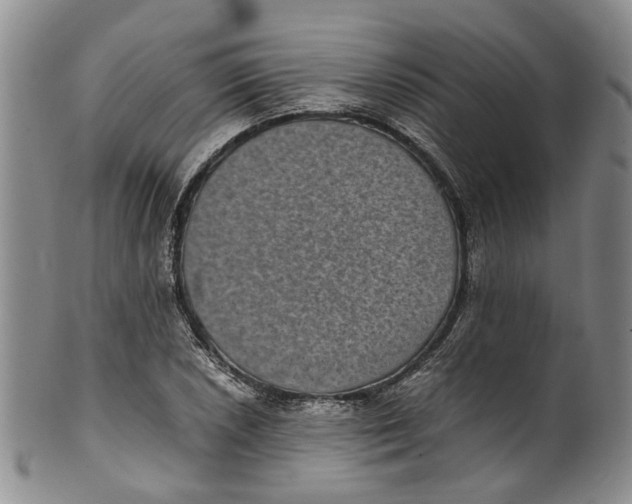 X0000100421026200806271502