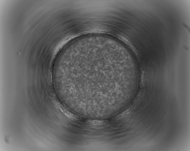 X0000100421027200806271502