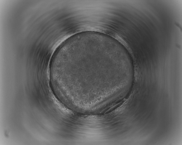 X0000100421028200806271502