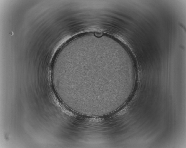 X0000100421029200806271502