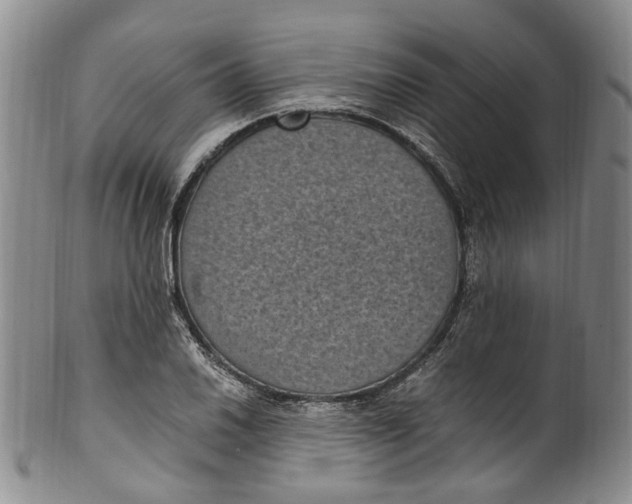 X0000100421030200806271502