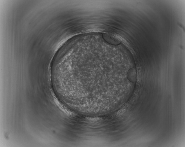X0000100421031200806271502