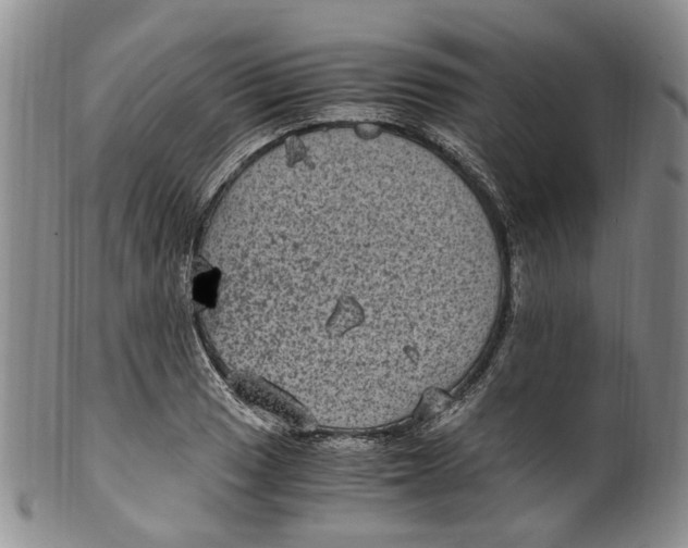 X0000100421033200806271502
