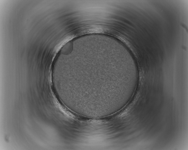 X0000100421034200806271502