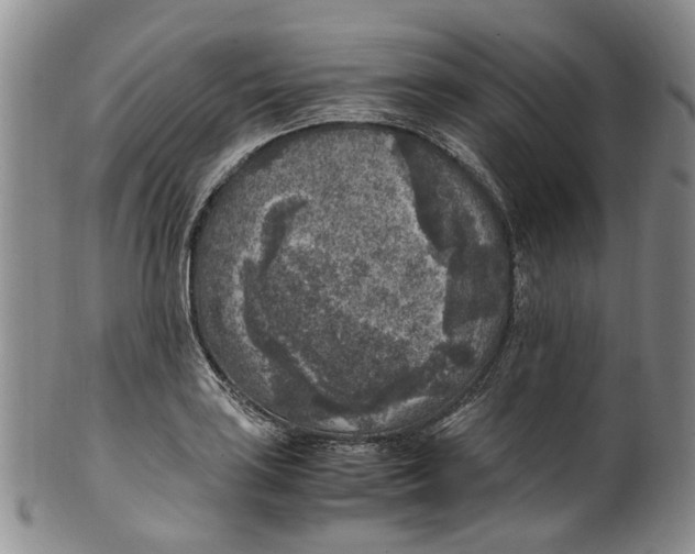 X0000100421035200806271502