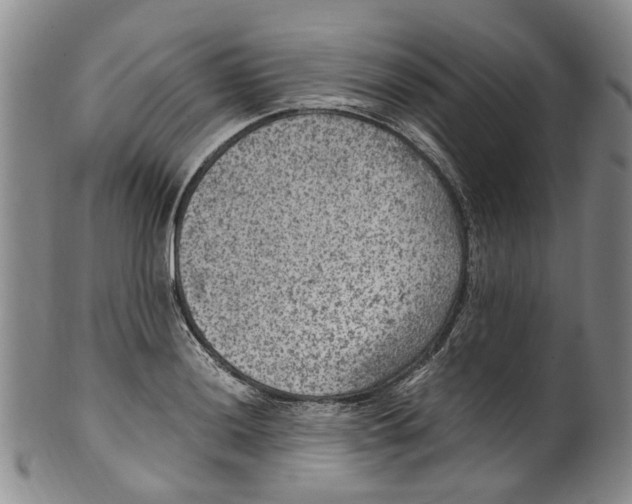 X0000100421036200806271502