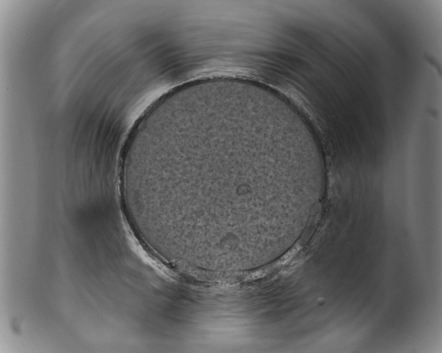 X0000100421038200806271502