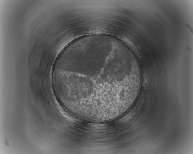 X0000100421039200806271502