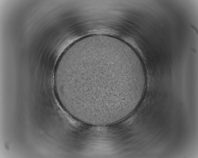 X0000100421040200806271502