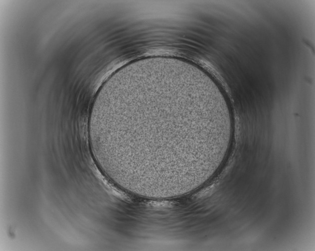 X0000100421041200806271502