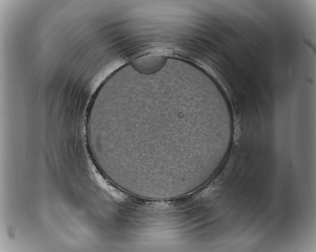 X0000100421042200806271502