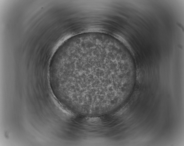 X0000100421043200806271502