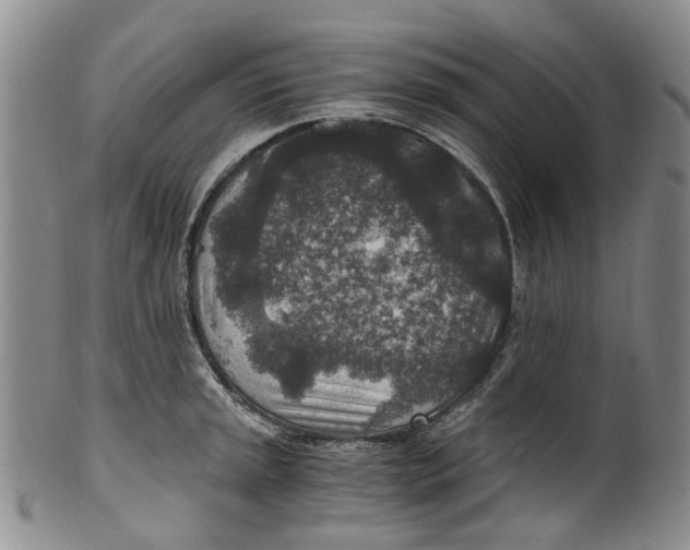 X0000100421045200806271502