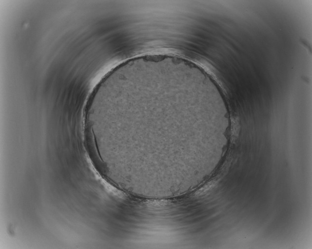 X0000100421046200806271502