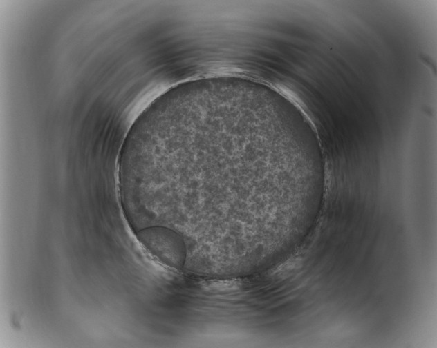 X0000100421047200806271502