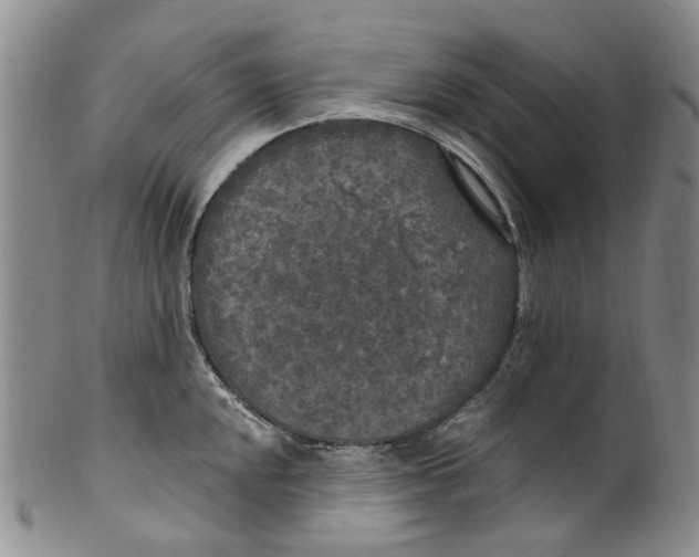 X0000100421048200806271502