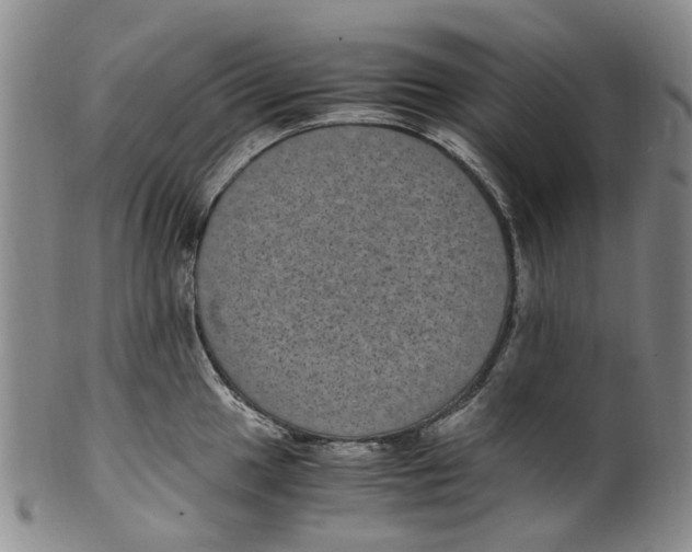 X0000100421049200806271502