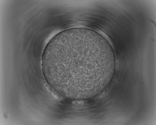 X0000100421051200806271502