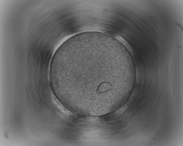 X0000100421052200806271502
