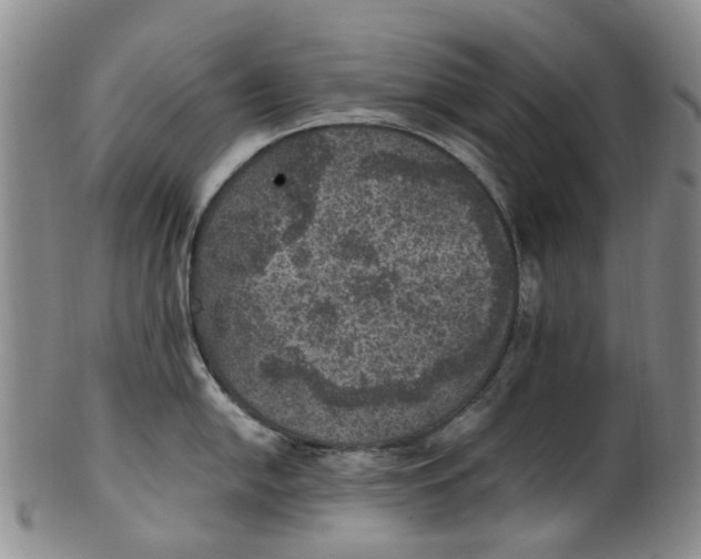 X0000100421054200806271502