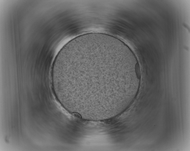 X0000100421056200806271502