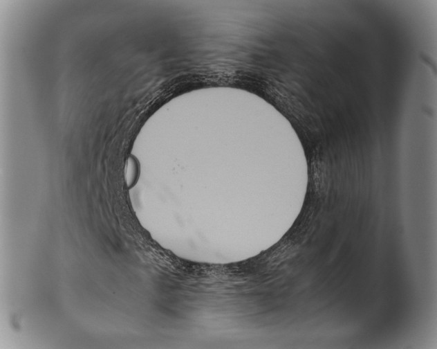 X0000100421057200806271502