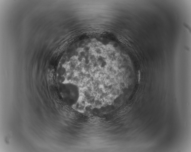 X0000100421059200806271502